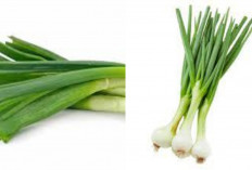  Jarang Diketahui Inilah Segudang Manfaat Daun Bawang Untuk Kesehatan!