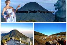 Legenda Mengerikan Gunung Pangrango. Cari Tau Dulu Sebelum Mendaki. Ini Kisahnya!