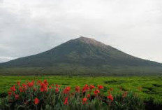 Mengungkap Misteri Gunung Kerinci, Legenda dan Fakta Tersembunyi