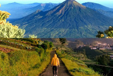 Pemandangan Spektakuler, Menikmati Keindahan Gunung Merbabu dan Gunung Merapi dari Puncak Sumbing!