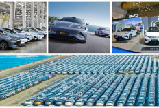 Ketahui! Ekspor Naik 144 Persen,  BYD Kuasai Pasar Global 2025