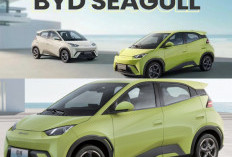 BYD Seagull 2026 Resmi Hadir: Mobil Listrik Murah dengan Teknologi LiDAR, Jarak Tempuh 505 Km!