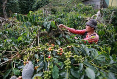 Masyarakat Diimbau Waspada, Antisipasi Aksi Pencurian