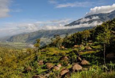 Mengenal Lebih Dekat Papua Barat, 9 Tempat Wisata dan Hal Unik yang Wajib Dikunjungi!