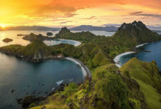 Wonderfull Indonesia! Surga Tersembunyi Di Bagian Timur Inilah Keindahan Alam Pulau Padar 