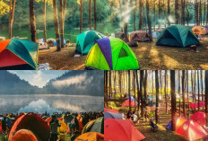 Petualangan Seru, Berikut Ini 5 Daftar Tempat Camping Keluarga Terbaik di Malang!