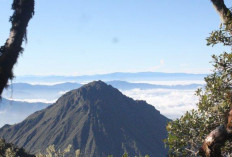 instagramable Gunung Geureudong: Keindahan Alam yang Masih Perawan di Aceh