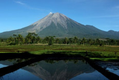 Jejak Menuju Mahameru: Rute Pendakian dan Tips Aman di Gunung Semeru