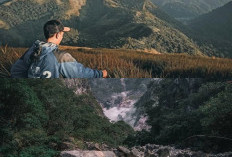 Menelusuri Jalur Pendakian Gunung Lawu, Cemoro Kandang, Cemoro Sewu, dan Sarangan!