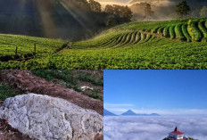 Mendaki Tanpa Khawatir, 10 Gunung Paling Cocok untuk Pendaki Pemula di Indonesia!