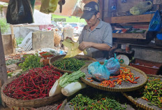 Harga Sayur Mayur Stabil Jelang Nataru