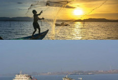 Nelayan di Norwegia Makin Gampang Cari Ikan, Berkat Bantuan AI yang Akurasinya Gila-Gilaan