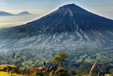 Membuka Tabir Keindahan Gunung Sindoro: Gunung Aktif di Indonesia