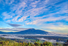 Gunung Pesagi: Keindahan Alam dan Keberagaman Budaya di Lampung