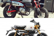 Honda Monkey 2026 Resmi Hadir Juli Ini: Motor Ikonik Bergaya Klasik yang Semakin Modern dan Menawan