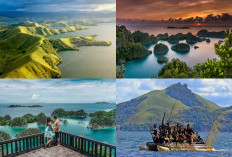 Safari Alam Papua, Jelajahi 5 Tempat Wisata dan Aktivitas Tak Terlupakan di Papua