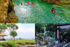 Menyambut Libur Akhir Pekan dengan Wisata Alam di Pangandaran, Lima Destinasi yang Wajib Dikunjungi!