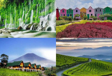 Lagi Pengen Liburan ke Alam? Ini dia 6 Pesona Keindahan Pagaralam Yang Cocok Untuk Anda Kunjungi!