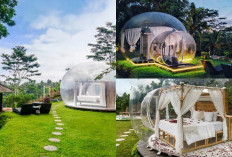 Bikin Penasaran, Misteri Romantic Bubble Dome Ubud Pengalaman Mistis yang Tak Bisa Dijelaskan!