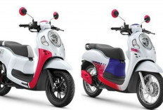 Harga Terbaru Honda Scoopy Juli 2026 Resmi Update, Berikut Daftar Lengkap Seluruh Variannya!