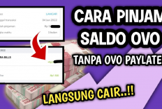 Pinjam Saldo OVO Rp1,5 Juta Tanpa Jaminan, Cuma Lewat Aplikasi Ini!