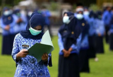 PPPK Bakal Dikurangi Gegara Negara Berhemat?