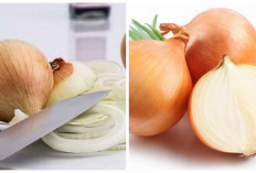 Sayang Dilewatkan! Inlah 4 Manfaat Bawang Bombai bagi Kesehatan Tubuh