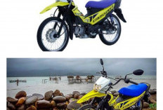 Satria Versi Off-Road! Suzuki Raider Pro 2026 Resmi Rilis Rp41 Juta: Pakai Mesin 150cc DOHC, Motor Bebek Trail