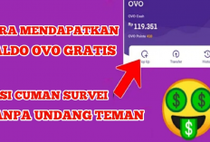 Cara Dapat OVO Gratis Tanpa Modal? Ini Trik Ampuh yang Wajib Kamu Coba!