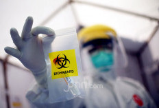 Waspadai Virus Nipah Masuk RI
