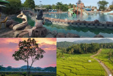 Destinasi Wisata Terbaik, Desa-Desa Tradisional di Cirebon yang Harus Dikunjungi!