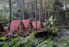 Keren Banget! Berpetualang di Kampung Singkur, Wisata yang Menawarkan Ketenangan dan Pesona Alam yang Memikat