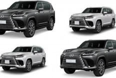 Lexus Terbaru 2026 Resmi Meluncur: Inovasi Mewah dengan Teknologi Masa Depan yang Siap Mengguncang Pasar!