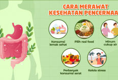 Wajib Tahu! 7 Makanan Ini Ternyata Kunci Utama Pencernaan Sehat!