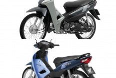 Honda Wave Alpha 110 Terbaru Meluncur, Motor Bebek Irit, Cuma Segini Harganya!
