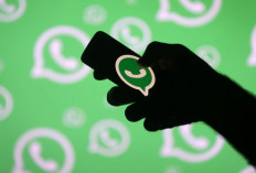 Begini Aplikasi Pengganti WhatsApp Makin Ramai Pengguna, Tren Baru di Dunia Komunikasi Digital