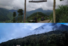 Pendakian Seru ke Bukit Jokolangan, Nikmati Panorama Alam yang Menakjubkan!