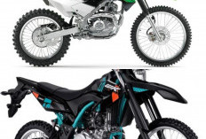 Rekomendasi Motor Trail Terbaik di Indonesia 2026, Dari Pemula hingga Profesional Off-Road, Ini Motornya!