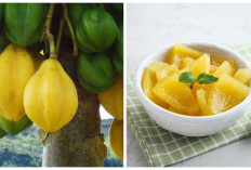 Banyak Belum Tahu Nih! 5 Manfaat Buah Carica yang Perlu Diketahui
