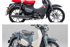 Harganya Selangit Tapi Tetap Laris! Terbongkar Rahasia Honda Super Cub C125 Jadi Motor Klasik Paling Dicari