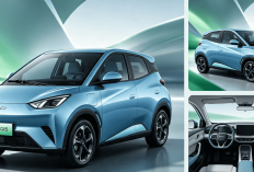 Changan Nevo Q05 Resmi Meluncur: SUV Listrik Canggih Berdesain Modern Dibanderol Mulai Rp309 Jutaan!