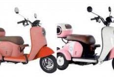 Motor Listrik Roda Tiga Kian Diminati, Solusi Mobilitas Hemat dan Ramah Lingkungan Ditahun 2025!