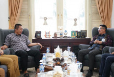 Wali Kota Pagar Alam Terima Kunjungan Dirut Bank Sumsel Babel