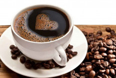 Perlindungan Otak 5 Manfaat Kafein Dalam Menurunkan Risiko Penyakit Neurodegeneratif