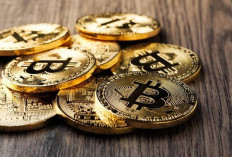 Wajib Diketahui, Ini 3 Bitcoin Terbaru yang Akan Mengguncang Dunia Kripto di 2024, Apa Aja?