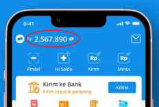 Penerima Saldo DANA Kaget Rp865.000 Terpilih Hari Ini! Jangan Sampai Ketinggalan!