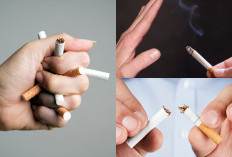 Kamu Perokok Berat? Ini Dia 5 Tips Mengatasi Kecanduan Rokok Dengan Efektif