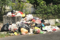 Jaga Lingkungan, Cegah Banjir Dadakan