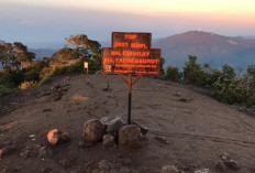 Gunung Cikuray: Surga Tersembunyi dengan Jalur Pendakian Menantang