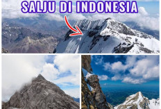 Bersalju dan Bikin Beku? 5 Gunung di Indonesia dengan Suhu Terekstrem